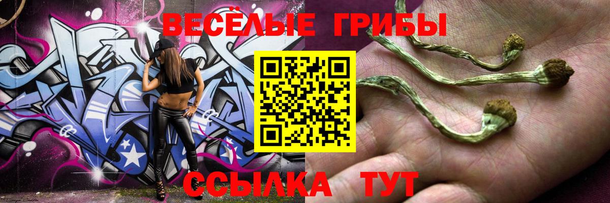 Псилоцибиновые грибы MAGIC MUSHROOMS  Вход с VPN  Минусинск  где можно купить наркотик  Псилоцибиновые грибы мицелий 