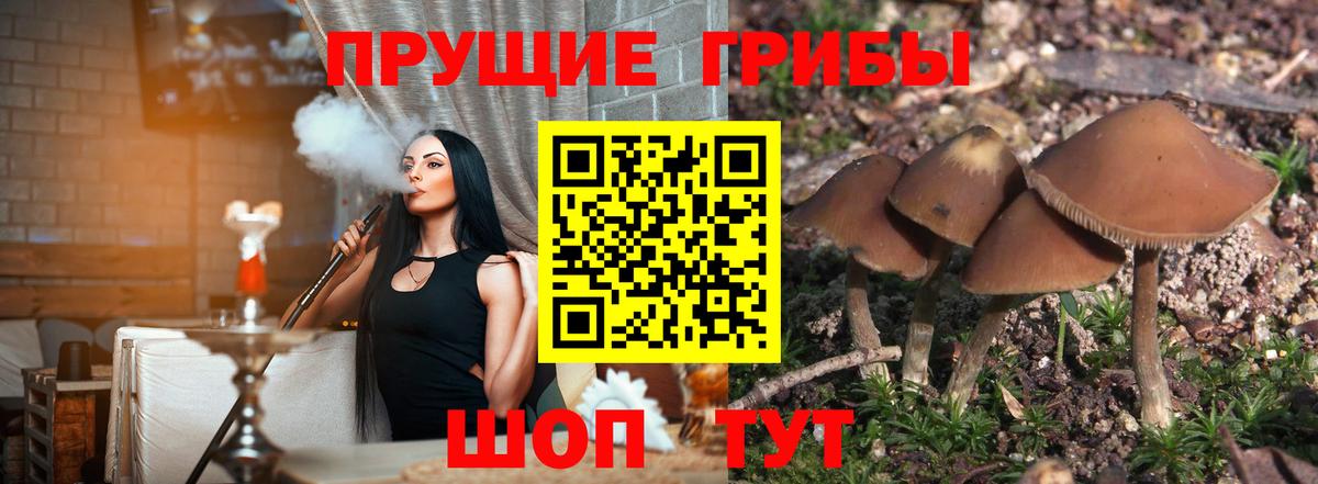Галлюциногенные грибы GOLDEN TEACHER Минусинск